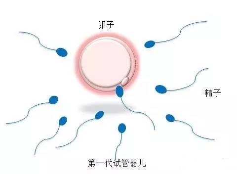 林主任